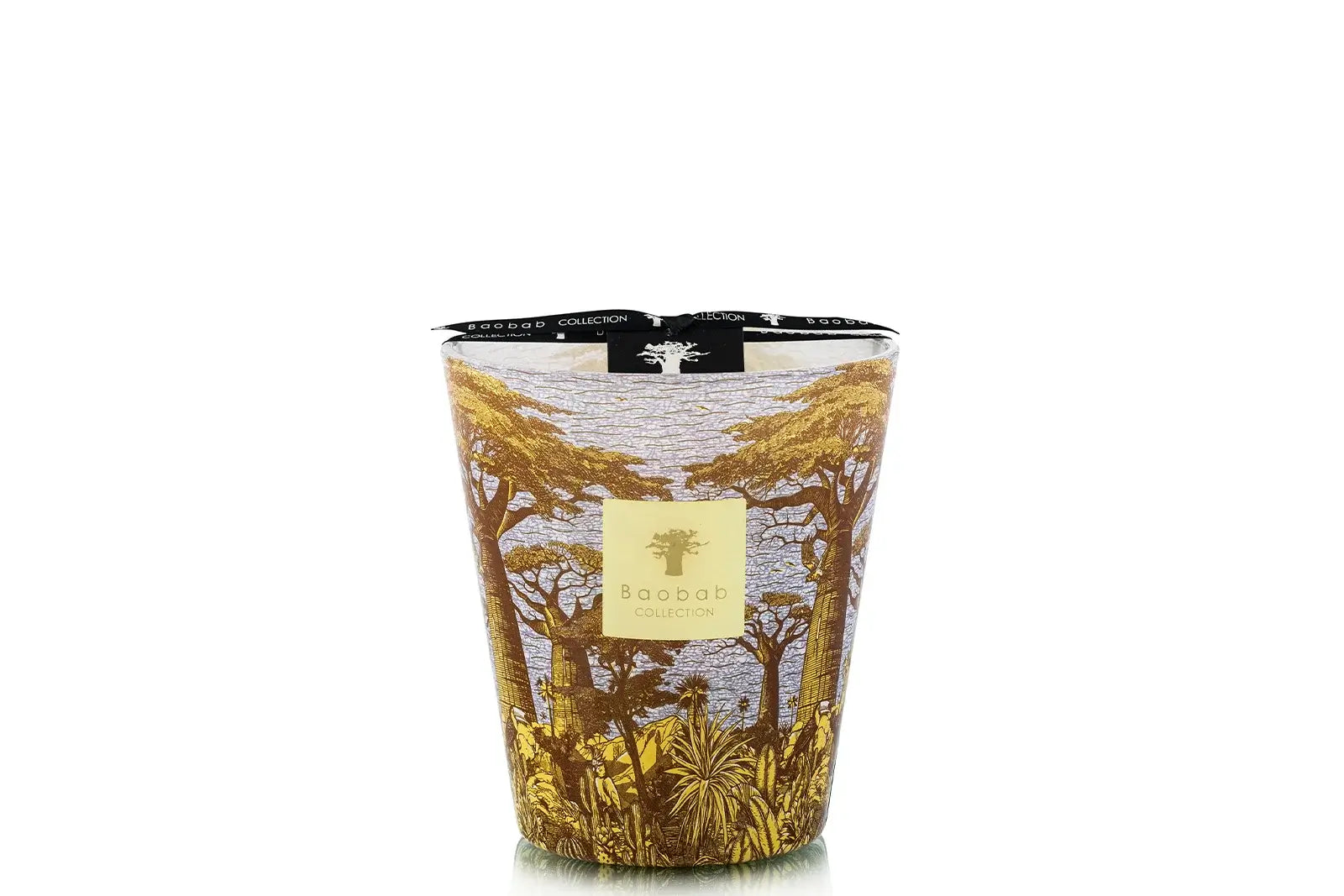 87798_baobab_sacred_trees_summer_crocody_max_16