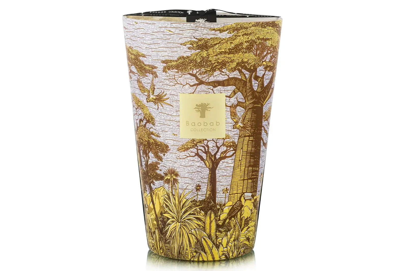 87806_baobab_sacred_trees_summer_crocody_max_35