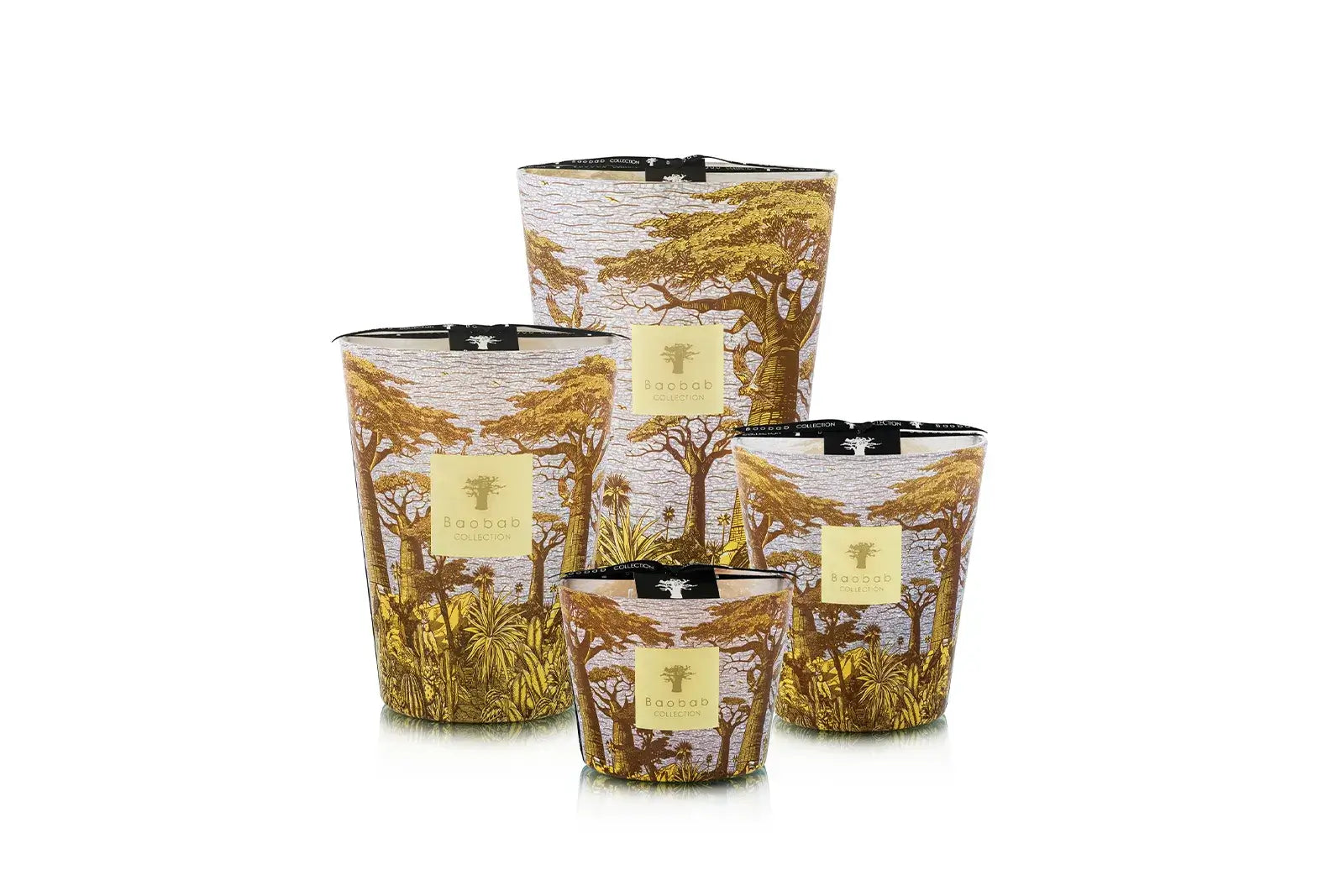 87810_baobab_sacred_trees_summer_crocody_group