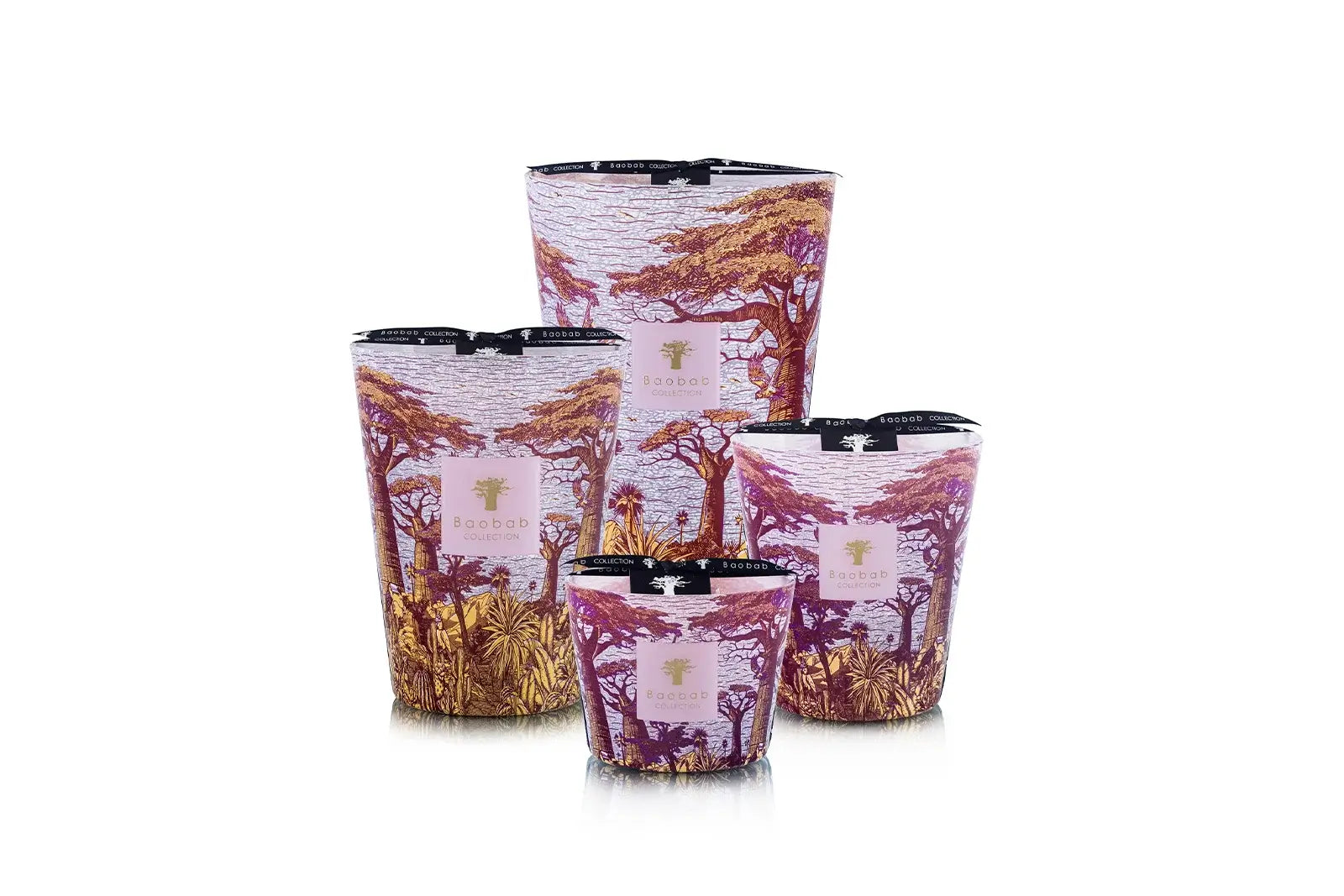 88707_baobab_sacred_trees_summer_massasso_group