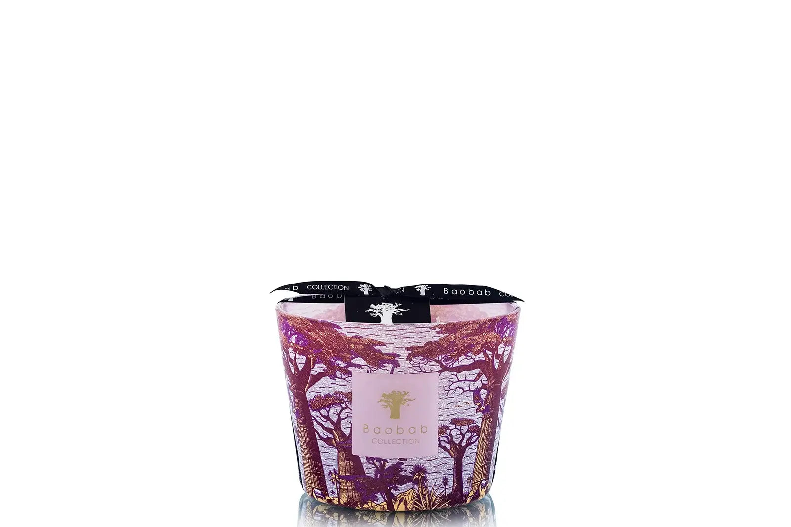 88708_baobab_sacred_trees_summer_massasso_max_10