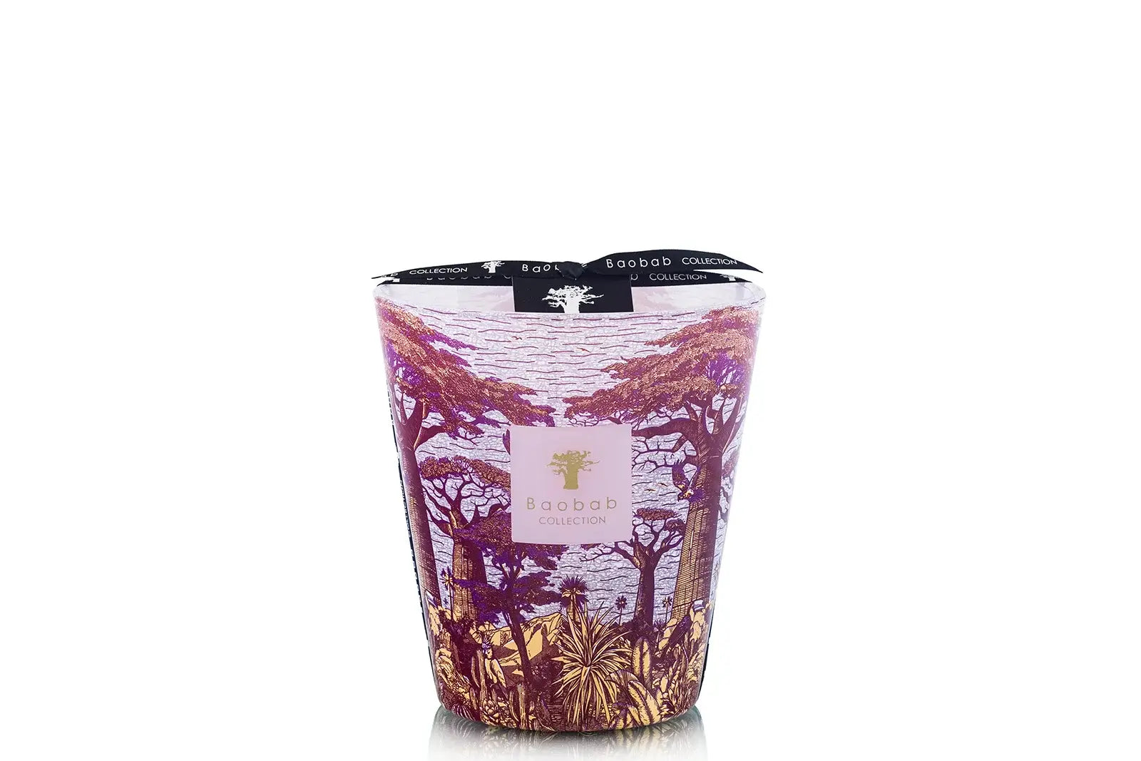 88714_baobab_sacred_trees_summer_massasso_max_16