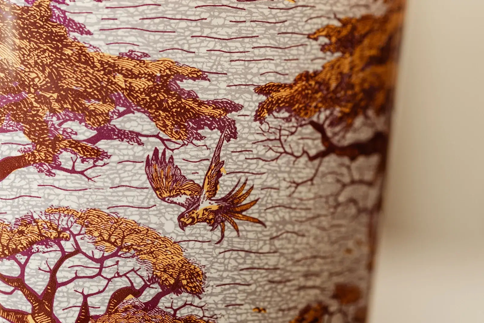 88719_baobab_sacred_trees_summer_massasso_4