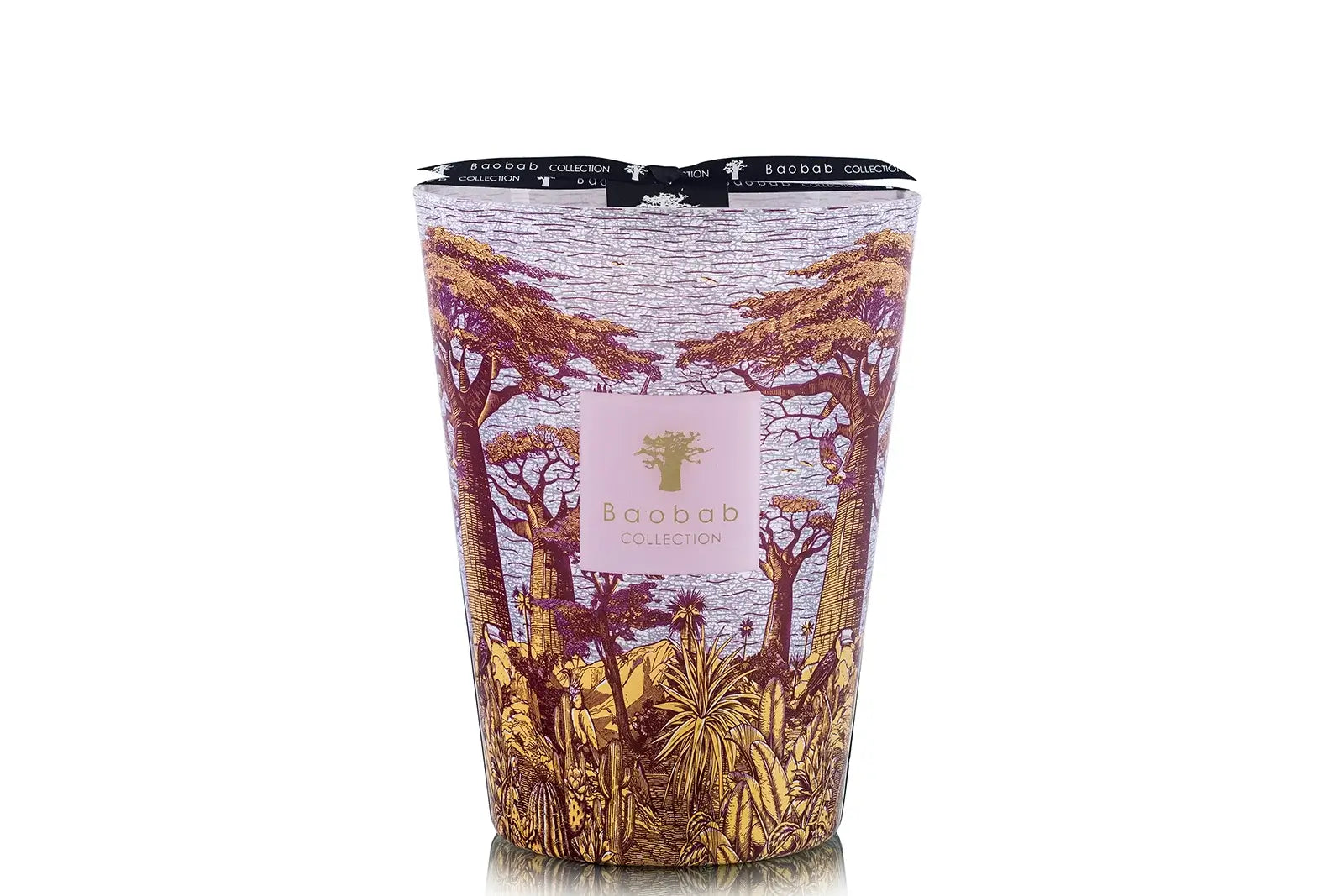 88720_baobab_sacred_trees_summer_massasso_max_24