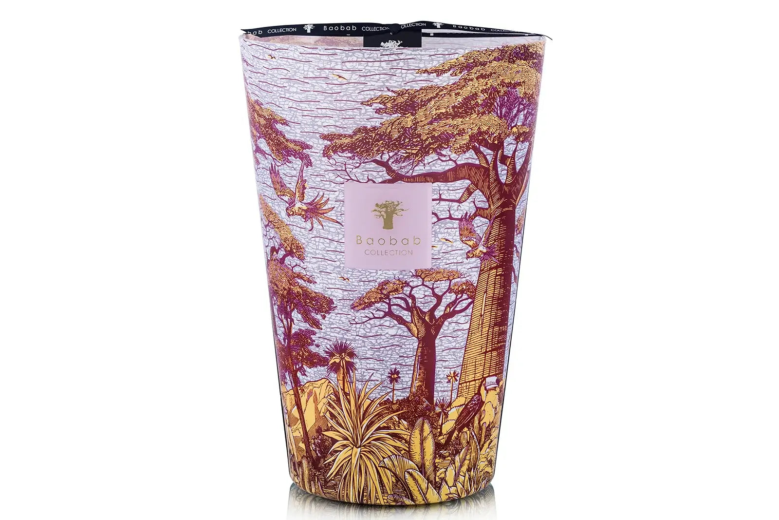 88726_baobab_sacred_trees_summer_massasso_max_35