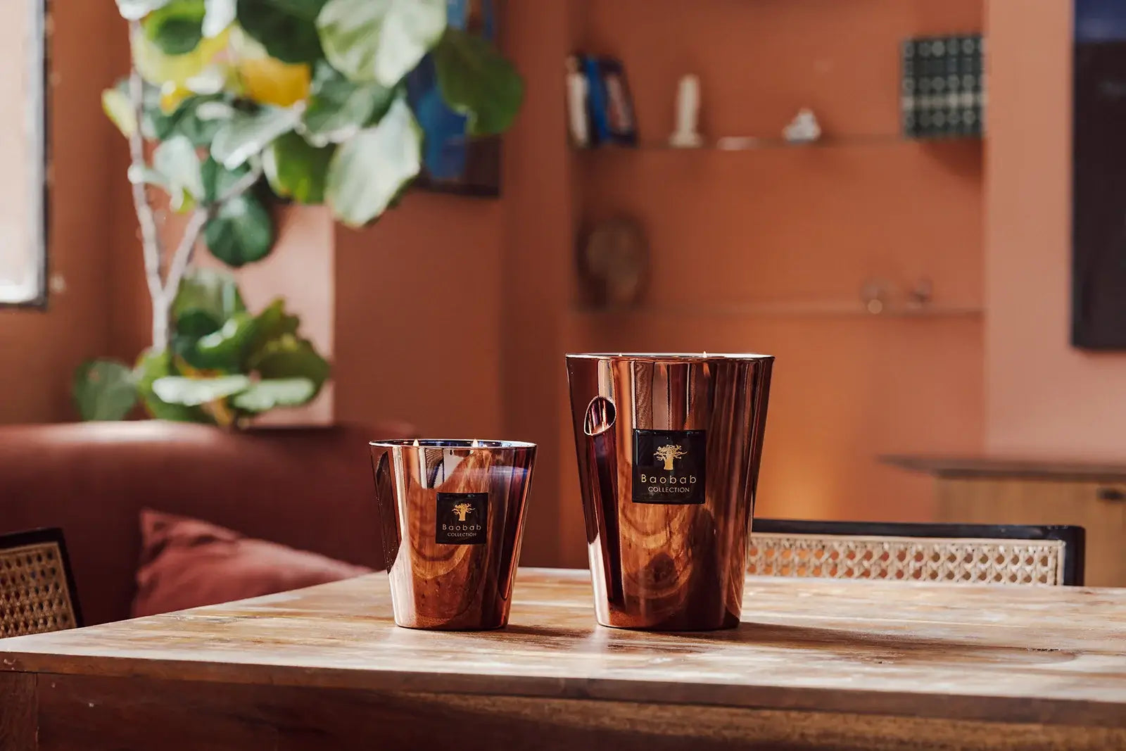 Baobab Cyprium | Les Exclusives | Duftkerze