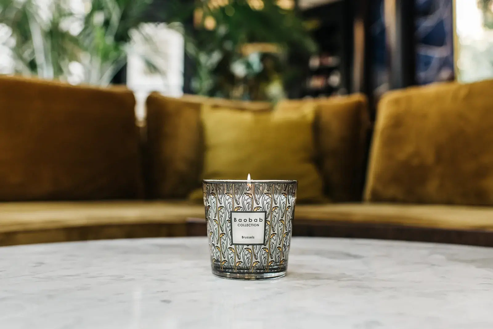 Baobab Brussels | My First Baobab | Duftkerze Max One