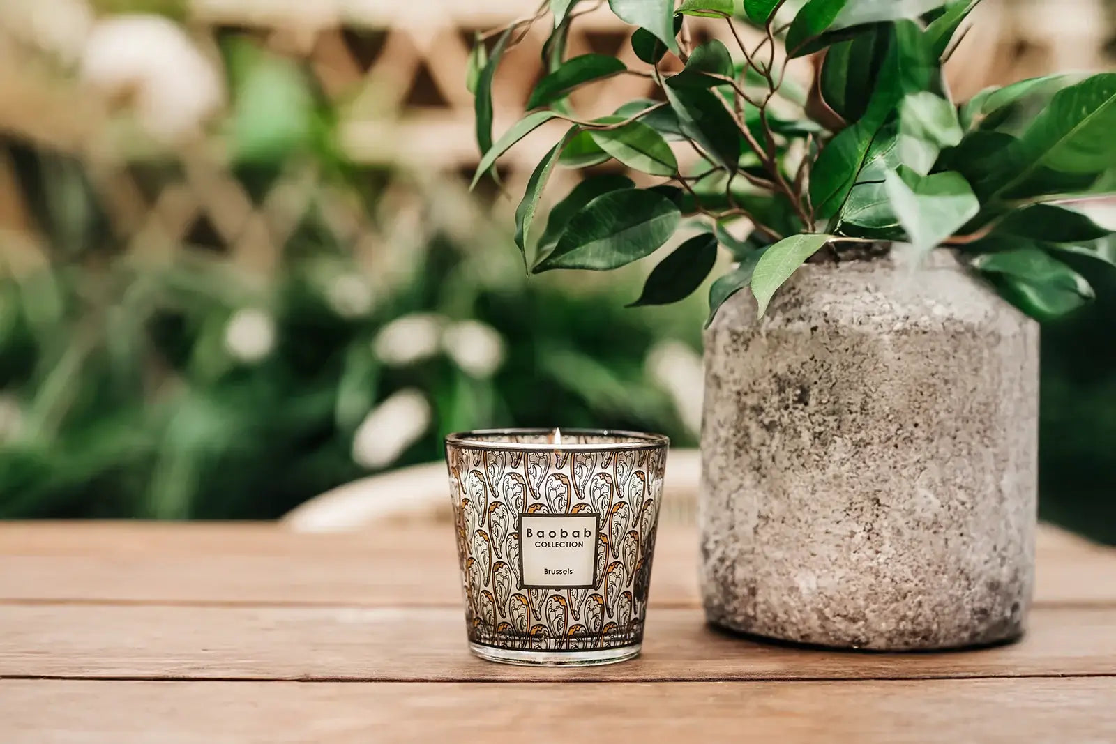 Baobab Brussels | My First Baobab | Duftkerze Max One