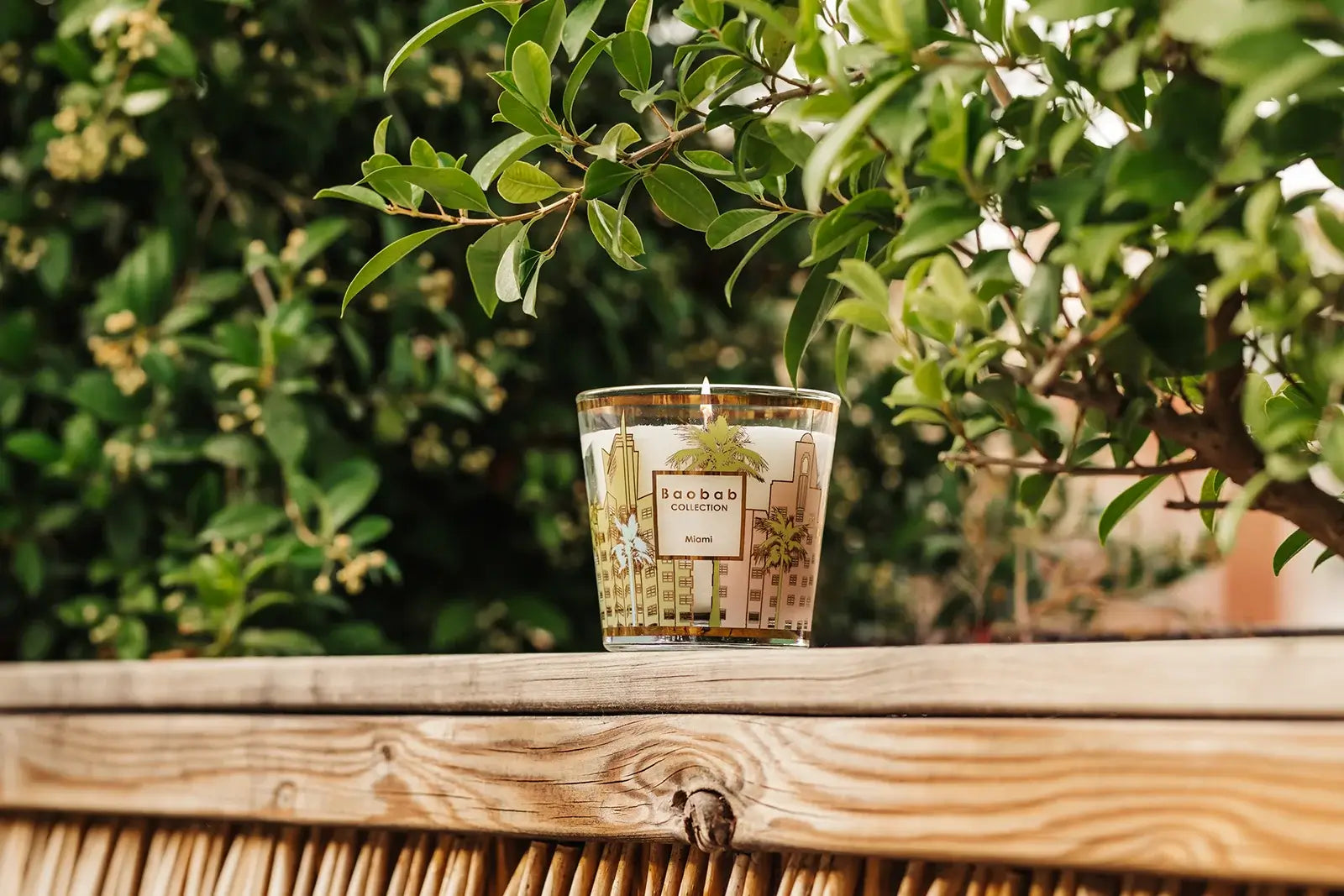 Baobab Miami | My First Baobab | Duftkerze Max One