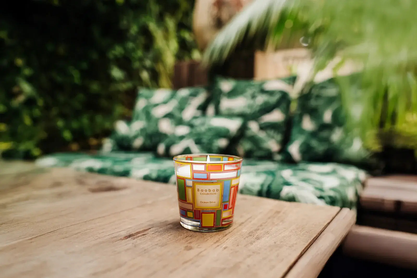 Baobab Ocean Drive | My First Baobab | Duftkerze Max One