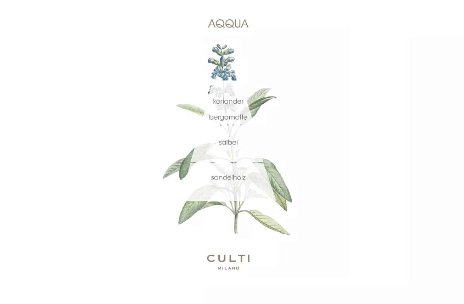 21108_Culti_milano_Aqqua_duftnoten