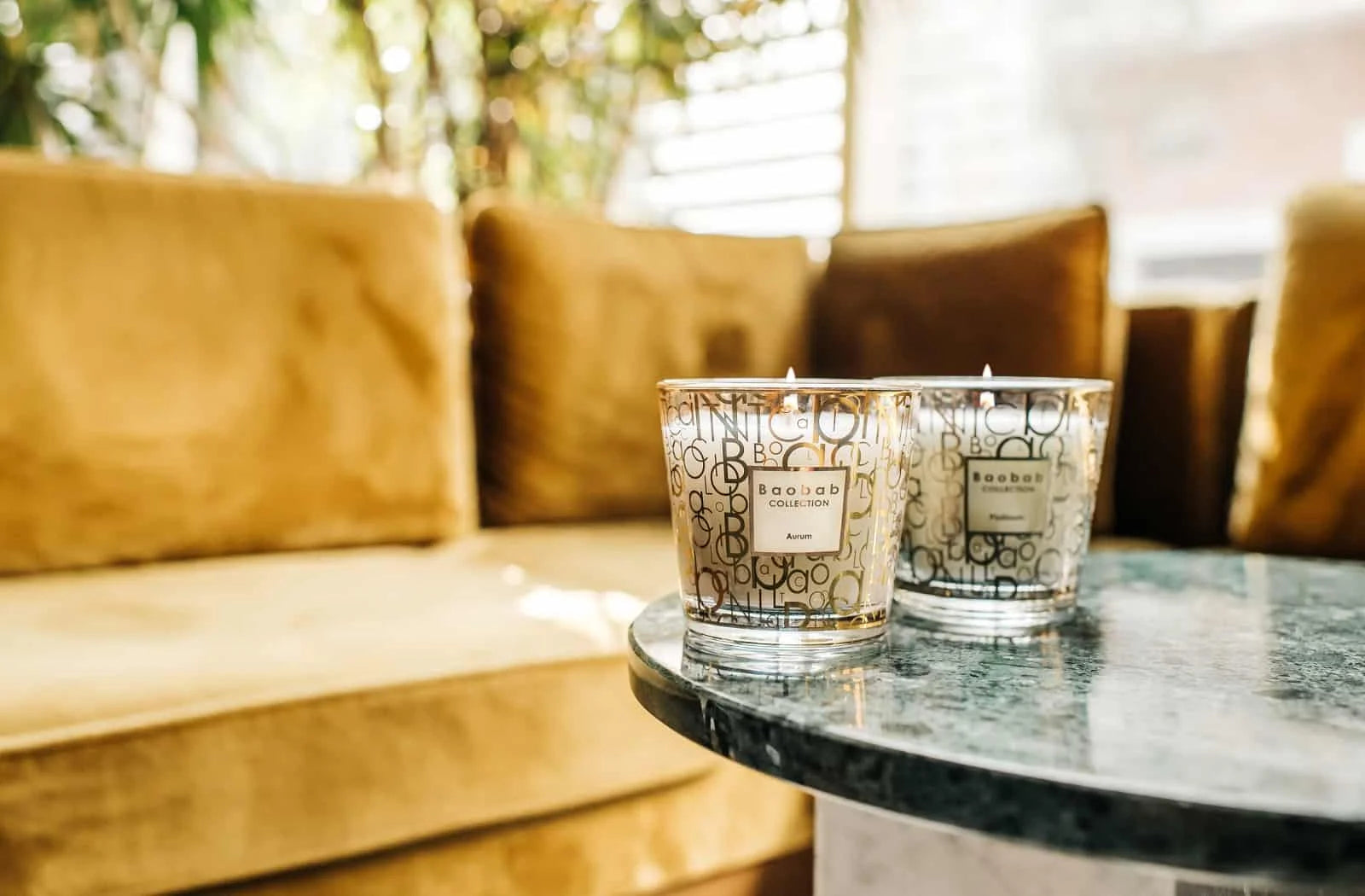 22495_My_first_baobab_aurum_duftkerze_mood