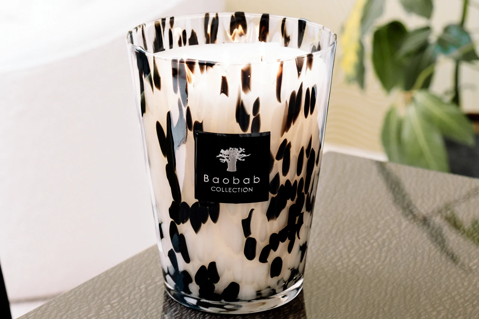 33415_Baobab_Black_Pearls_3