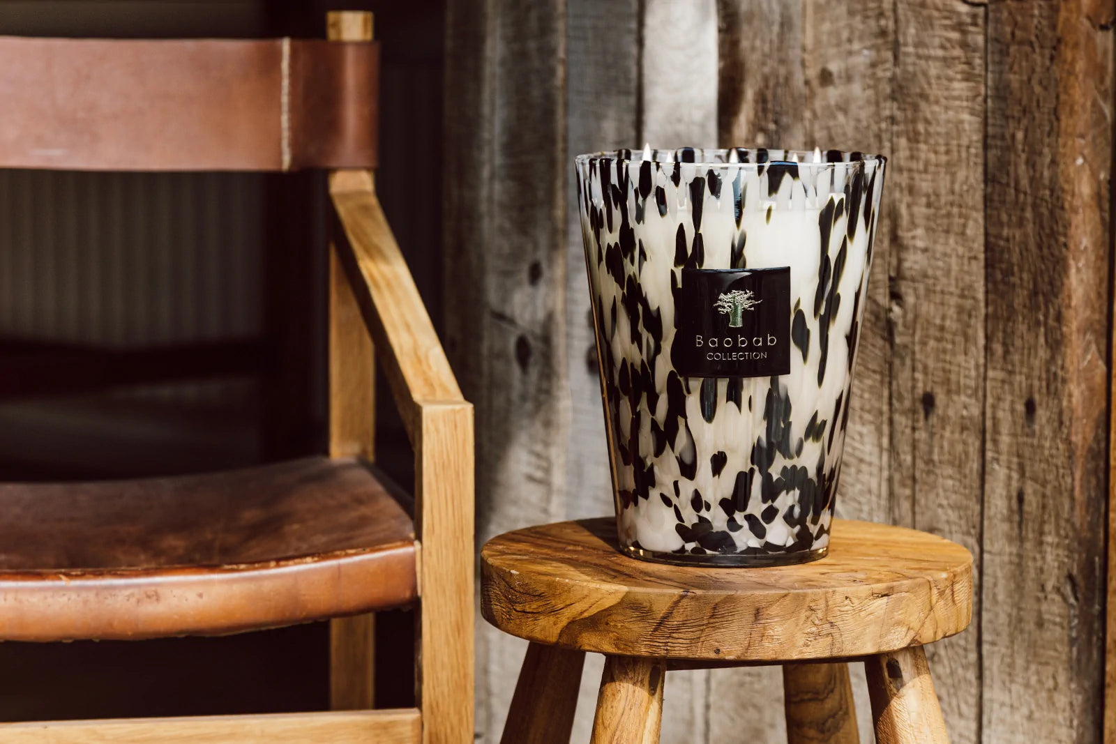 33417_Baobab_Black_Pearls_2