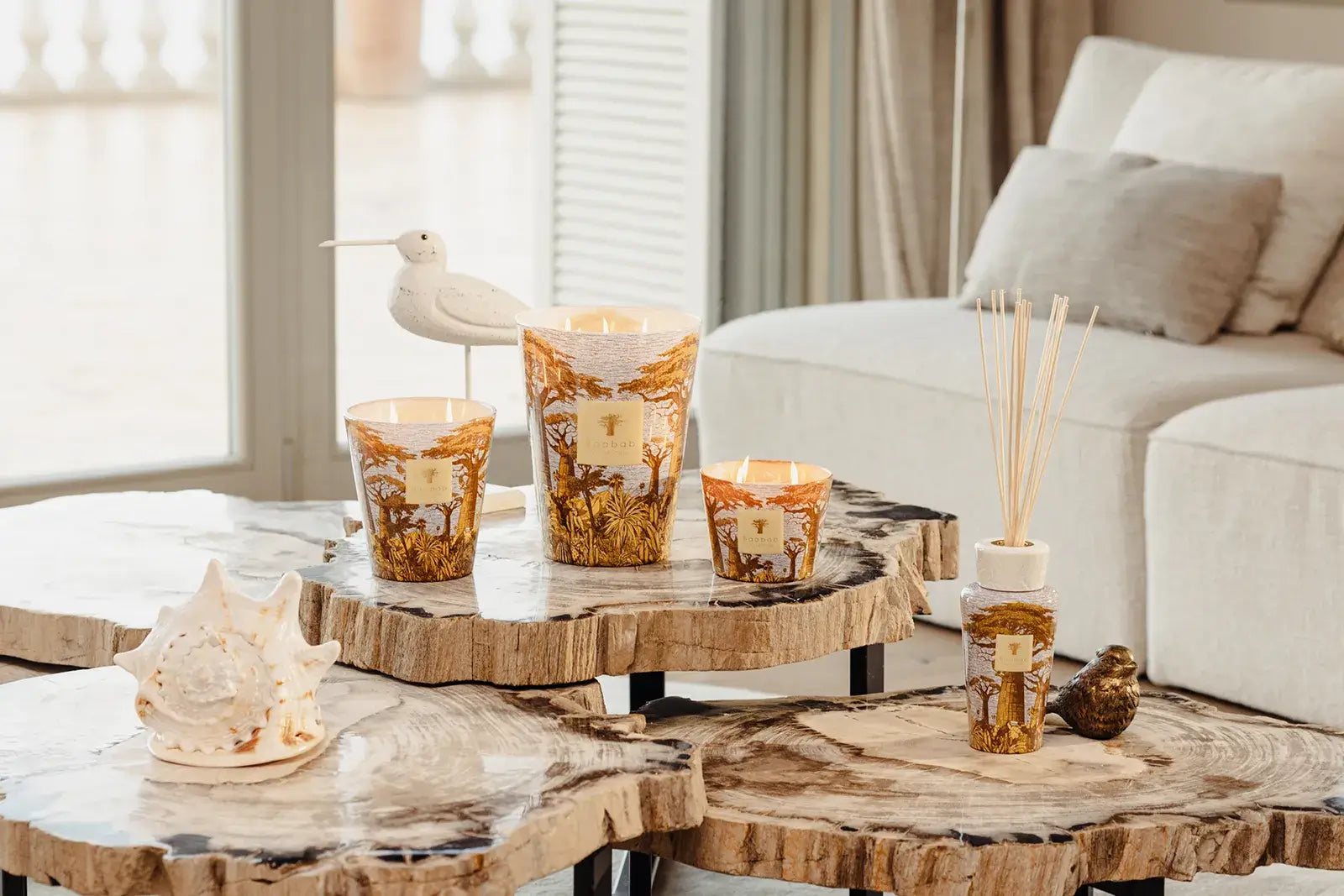 87800_baobab_sacred_trees_summer_crocody_1