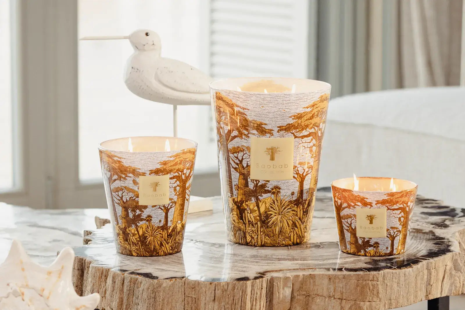 87801_baobab_sacred_trees_summer_crocody_2