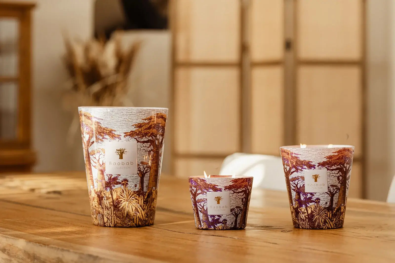 88716_baobab_sacred_trees_summer_massasso_1