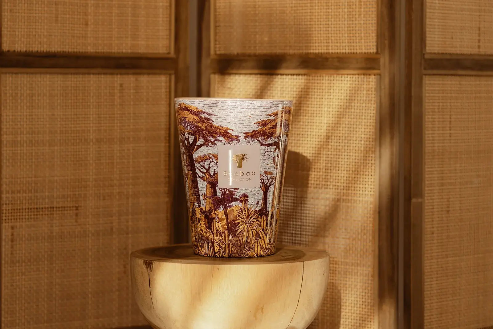 88718_baobab_sacred_trees_summer_massasso_3