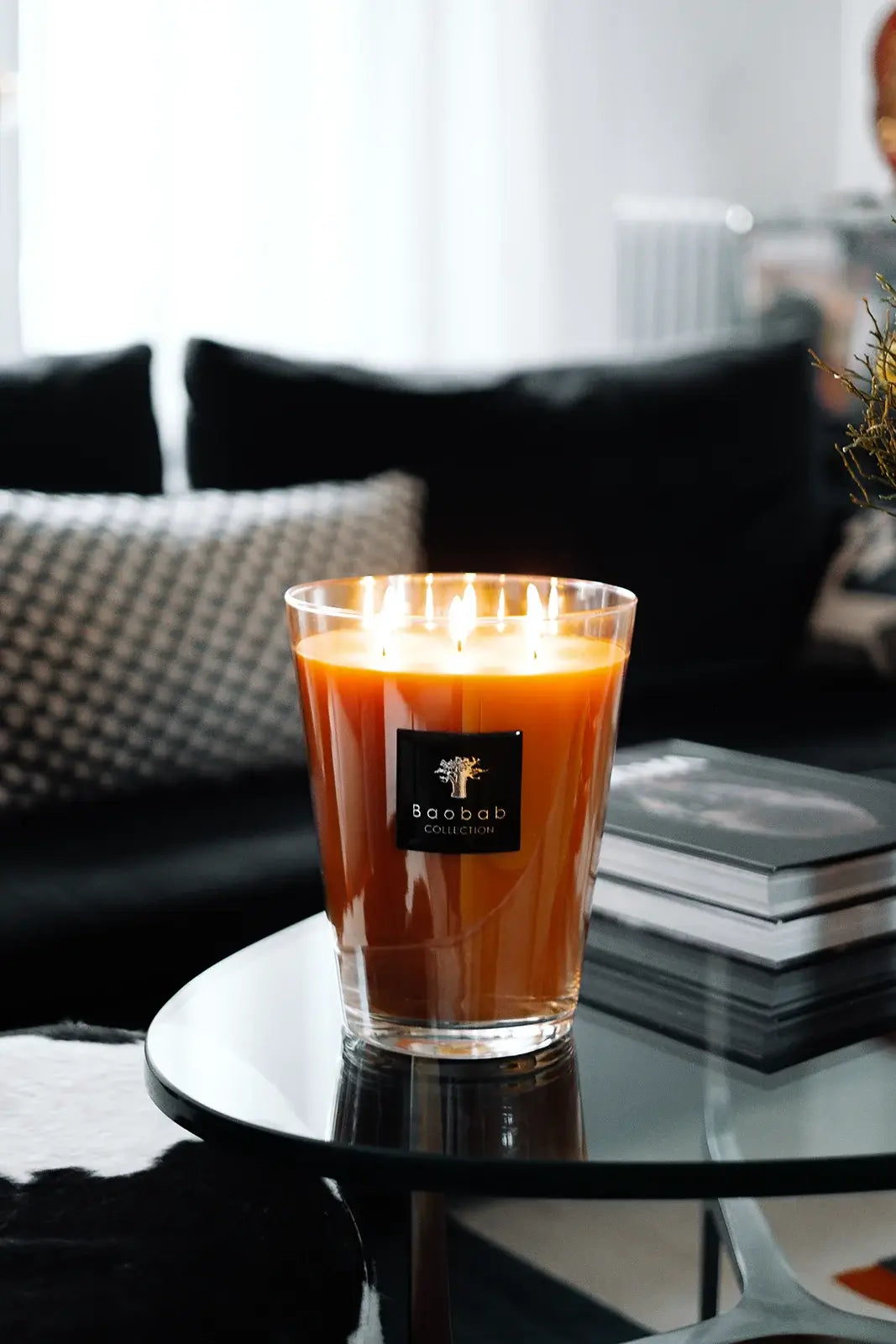 Baobab Zanzibar Spices | All Seasons | Duftkerze