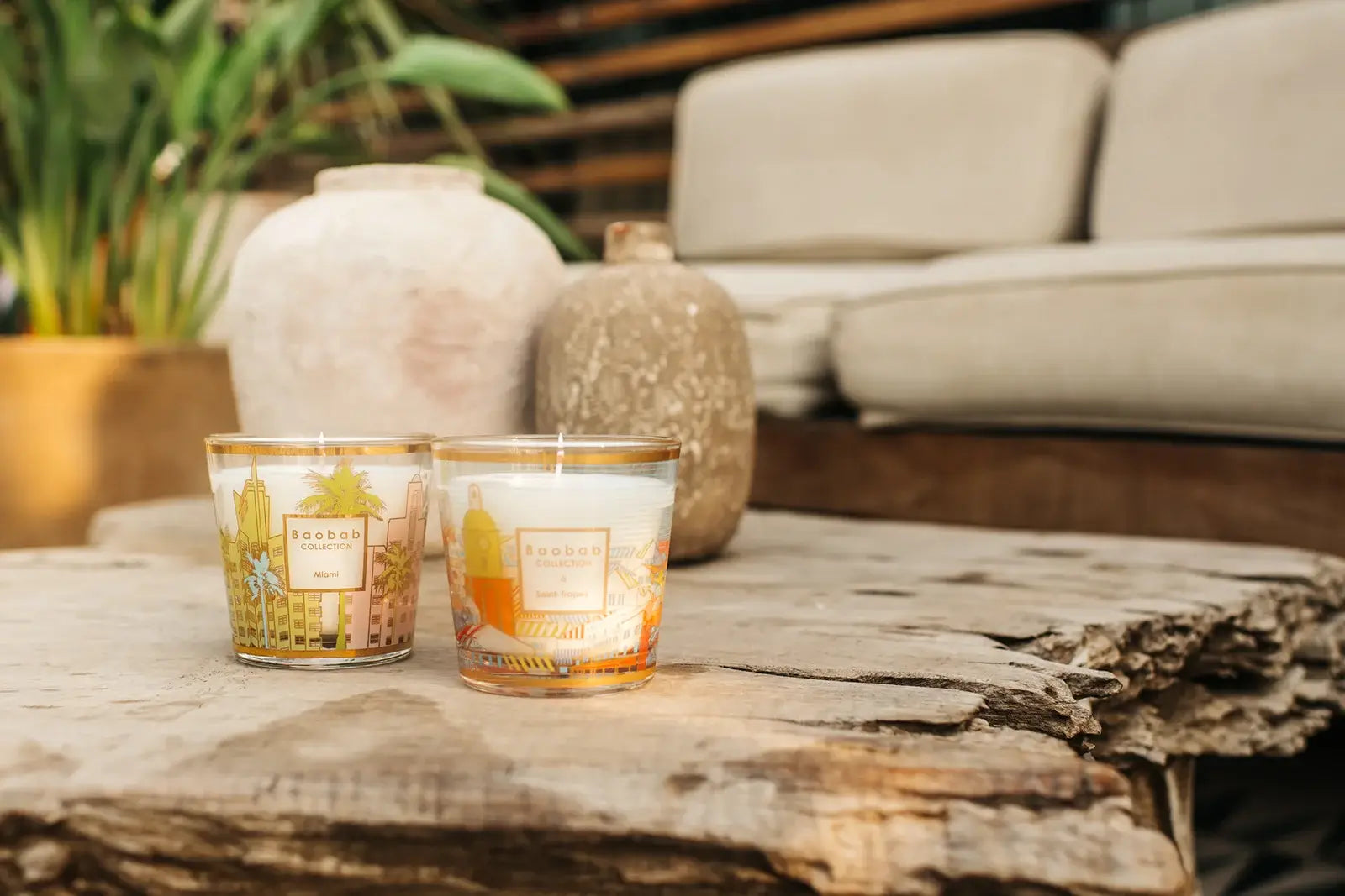 Baobab A St. Tropéz | My First Baobab | Duftkerze Max One